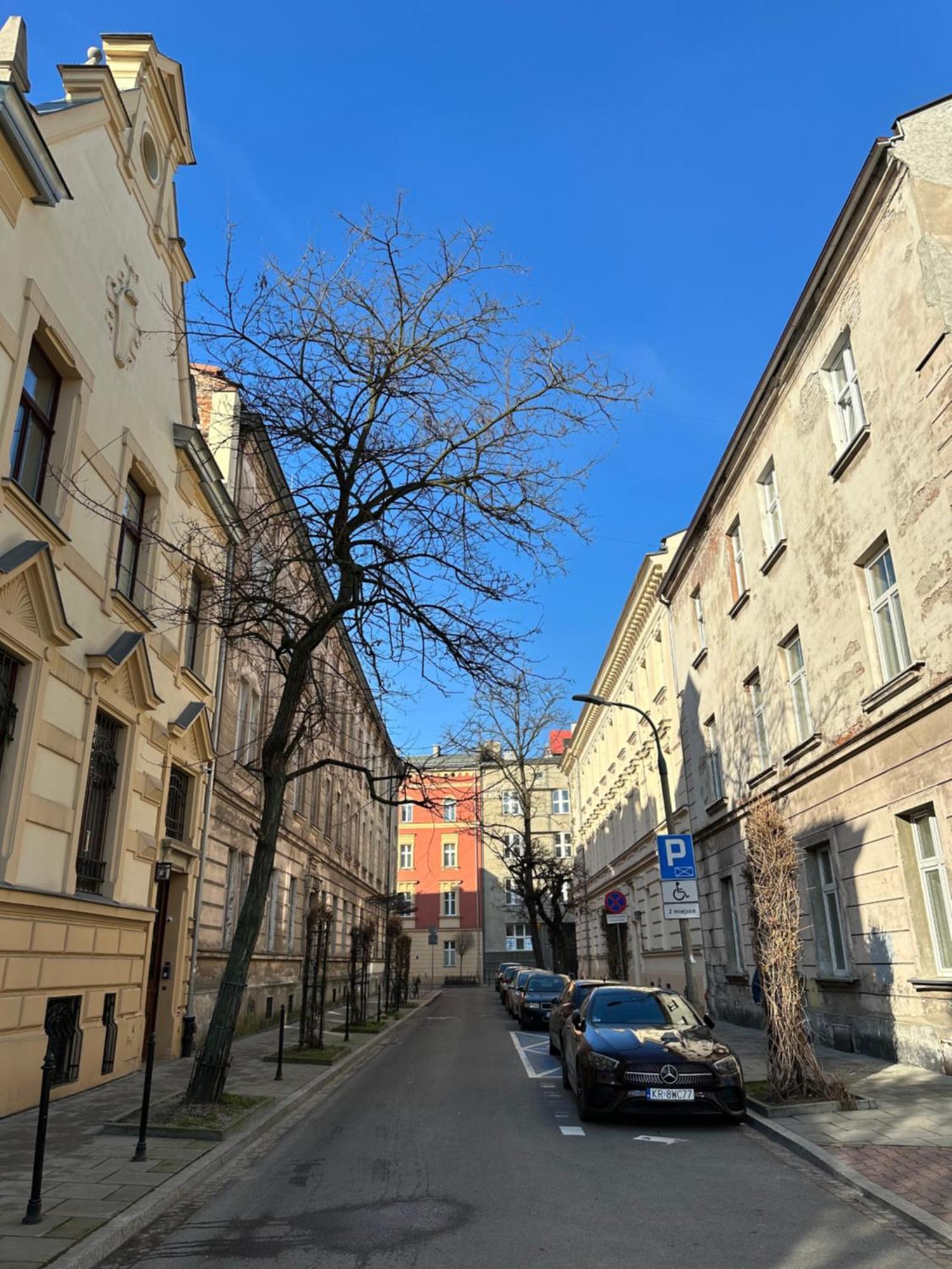 Perfect Place To Stay In Krakow City Center 40M2 W4 Luaran gambar
